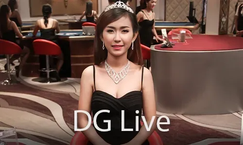 NN777 Sports Betting